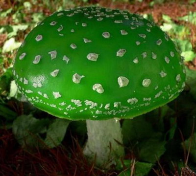 зелений гриб