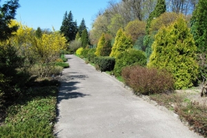 Львівський ботанічний сад